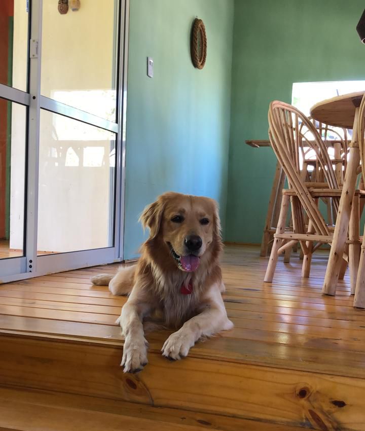 Foto de Indio